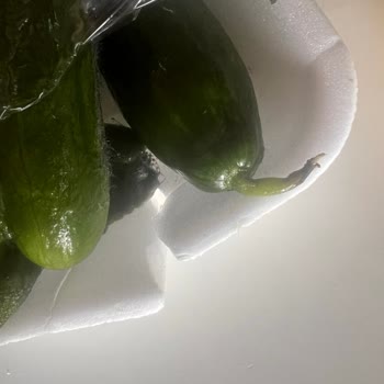 Sağlık Riski Taşıyan Bozulmuş Salatalık Siparişi Ve Yanıtsız Şikayet