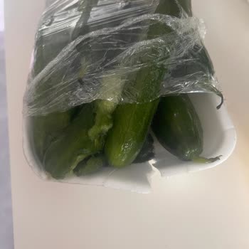 Sağlık Riski Taşıyan Bozulmuş Salatalık Siparişi Ve Yanıtsız Şikayet