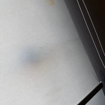Küflenmiş Perdeler Ve Yıkanmamış Halılar İçin 6500 TL Ücret İadesi Talebi