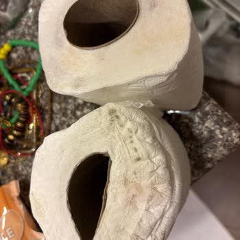 Familia Plus Natural Tuvalet Kağıdı Ruloları Kirli Çıktı
