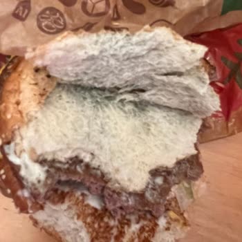 Mavi Yeşil Küflü Hamburger Ekmeği: Sağlık Tehlikesi Ve İade İsteği