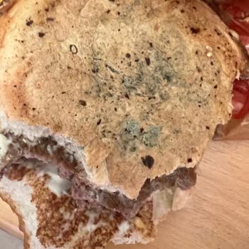 Mavi Yeşil Küflü Hamburger Ekmeği: Sağlık Tehlikesi Ve İade İsteği