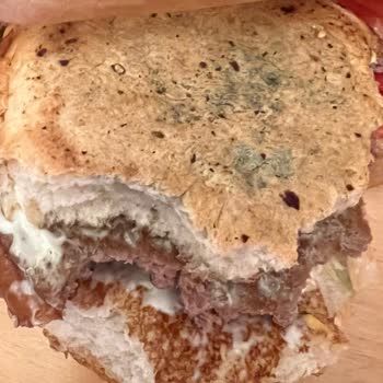 Mavi Yeşil Küflü Hamburger Ekmeği: Sağlık Tehlikesi Ve İade İsteği