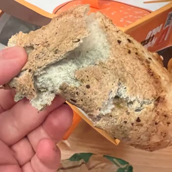 Mavi Yeşil Küflü Hamburger Ekmeği: Sağlık Tehlikesi Ve İade İsteği