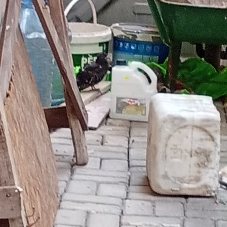 Beylikdüzü Belediyesi Çağrı Merkezinde Duyarsız Yaklaşım Hayvan Güvenliğini Göz Ardı Ediyor