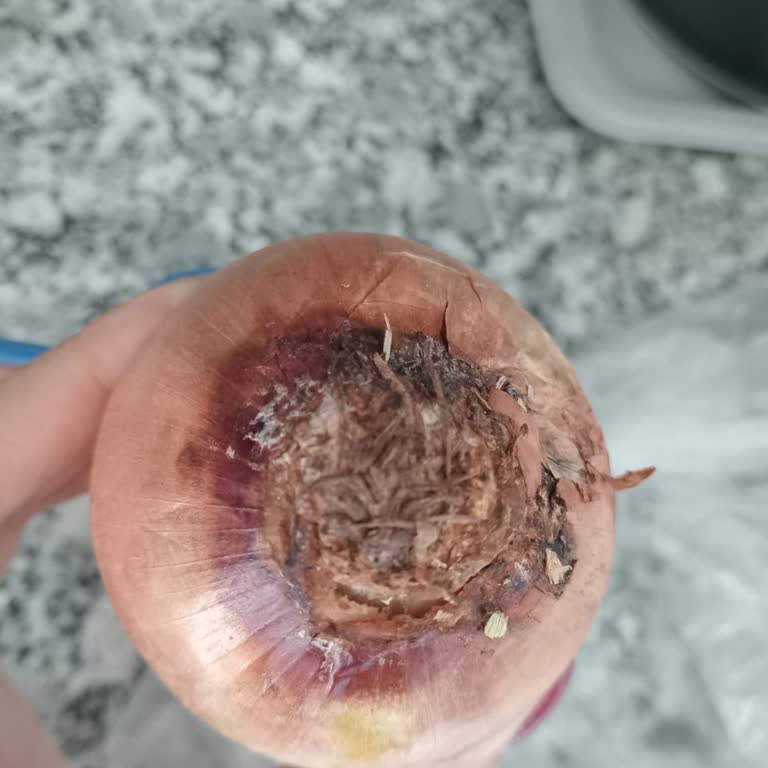 Çürük Soğan Teslimatı Ve Müşteri Hizmetlerinden Cevap Gelmemesi