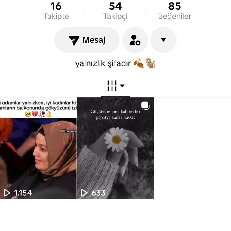 TikTok'ta Sahte Hesap Tarafından Kimlik Taklidi Ve Tehditler Hızlıca Kapatılsın