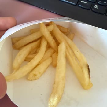 Patates Kızartmasında Kıl Çıktı, Çözüm Yok
