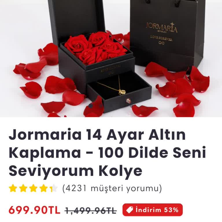 Teslim Edilmeyen Altın Kaplama Kolye İçin 699 TL İadesi