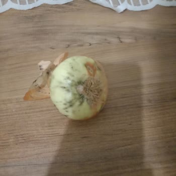 Cepte Şok Siparişinde Bozuk Ve Çürük Ürünler İçin İade Talebi