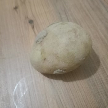 Cepte Şok Siparişinde Bozuk Ve Çürük Ürünler İçin İade Talebi