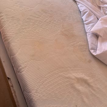 Hijyen Ve Güvenlik Sorunları Sabel Villas’ta