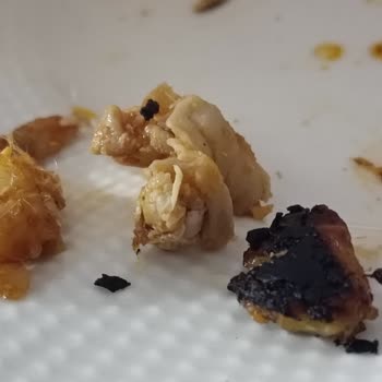 Tavuk Dürümde Tüy Kaçması Ve Ciddiyetsiz Yanıt