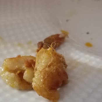 Tavuk Dürümde Tüy Kaçması Ve Ciddiyetsiz Yanıt