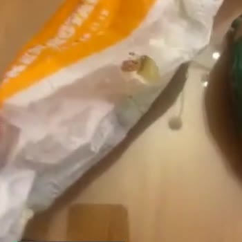 Burger King Ve Paket Siparişinde Özensiz Servis
