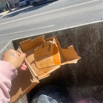 Şok Market Önünde Sokak Kedisi Beslenmesine Getirilen Uyarı Sonrası Yaşanan Büyük Hayal Kırıklığı