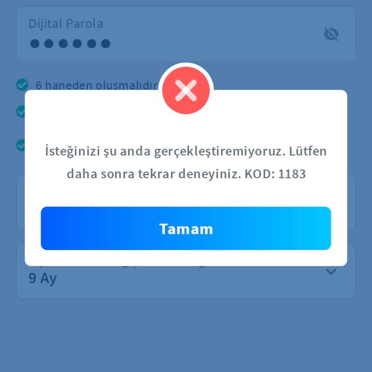 Mobil Şifre Oluşturma Hatası Ve Zorunlu Şube Ziyareti