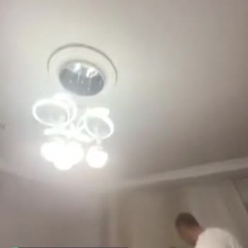 Antalya Kepez Belediyesi Böcekler Çok Fazla