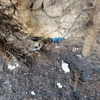 Villa Farm’da Temizlik Ve Hijyen Sorunlarıyla Karşılaşılan Hayal Kırıklığı