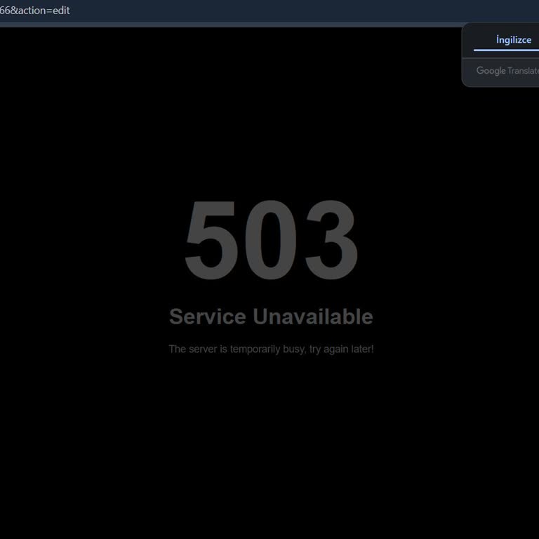 Doruk Net WordPress Sunucusunda Sürekli Yavaşlık Ve 503 Hataları, Destek Yanıtı Yok