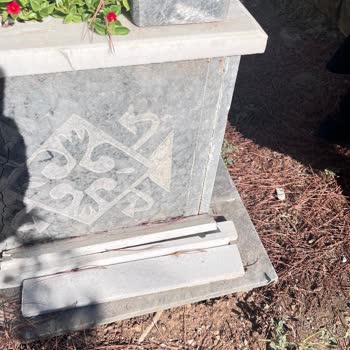 Bursa Mezarlığında Ağaç Kesimi Sonrası Mezara Verilen Zarar Ve Eksik Onarımlar