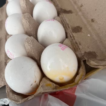 Kırık M Life Kafessiz Yumurta Teslimatı Ve Geri Dönüşsüz İade Talebi