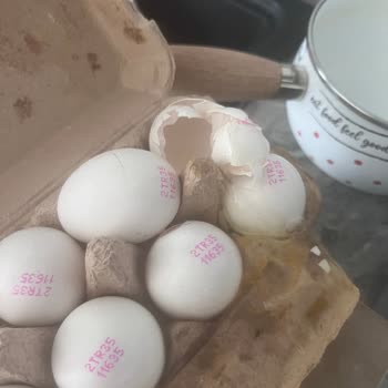 Kırık M Life Kafessiz Yumurta Teslimatı Ve Geri Dönüşsüz İade Talebi