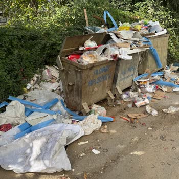 Şirinevler Mahallesi Çöp Toplama İhmali Ve Sağlık Riski
