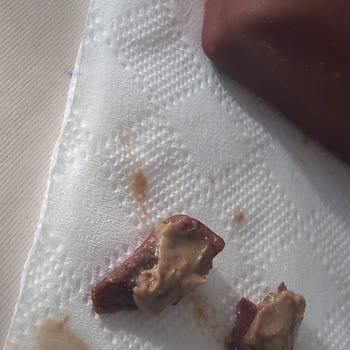 Arma Grup Gıda Çikolatalı Dondurmanın İçinden Yabancı Bir Madde Çıkması