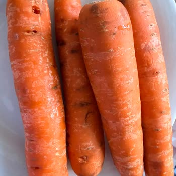 Carrefour SA'ya Bozulmuş Sebze Teslimatı İçin İade Talebi