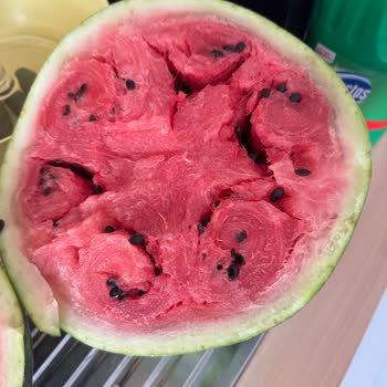 BİM Beylikdüzü Hanzade Şubesinde Bozuk Karpuz İadesi Reddine Uyarı İsteği