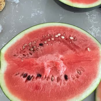 Şok Market’te Çekirdeksiz Etiketiyle Satılan Karpuzda Çekirdek Sorunu Ve İade Talebi