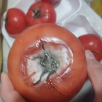 Eki aç