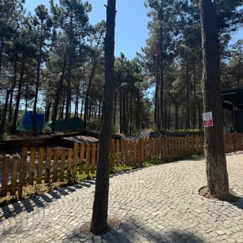 Nefes Orman’da Çay İçmek İçin Masaya Oturmanın Yasak Olması Ve Kaba Üslup