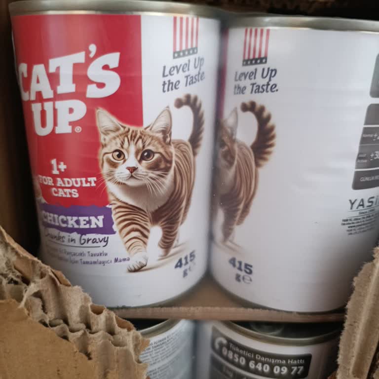 Cango Konserve Kedi Maması Yerine Sürekli Cats Up Gönderilmesi