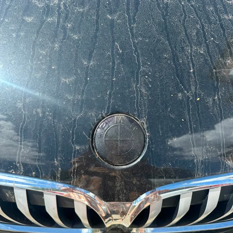 BMW X1 Amblem Düşmesi Garanti Kapsamı Talebi