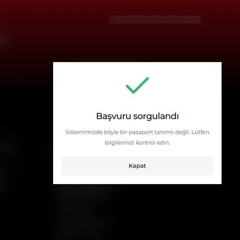 Sistemde Pasaport Tanımlı Değil Hatası Vize Başvurusunu Engelliyor