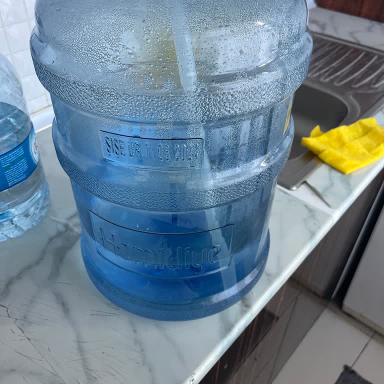 Hamidiye Damacana Suyunun Ölümcül Kokusunun Neden Olduğu Aile Hastalığı Ve Resmi Açıklama Talebi