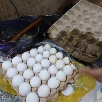Denizli’de Kırık Ve Bozuk Yumurtalar İçin İade Talebim Reddedildi