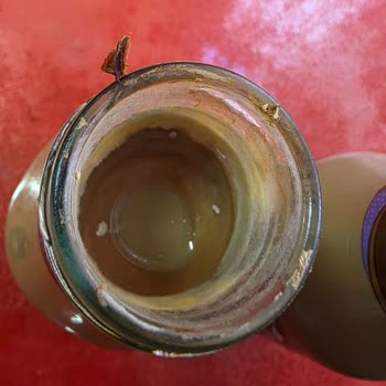 Bozulmuş Starbucks Mocha Frappuccino İçin Sağlık Endişesi Ve İade Talebi