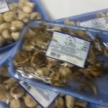 Hakmar Sapanca Market Ürün İadesini Kabul Etmiyor