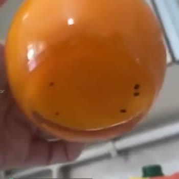 Cappy Meyve Suyu İçinden Çıkan Madde!