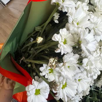 Solmuş Çiçek Buketi Ve Değişim Sürecindeki Zorluklar