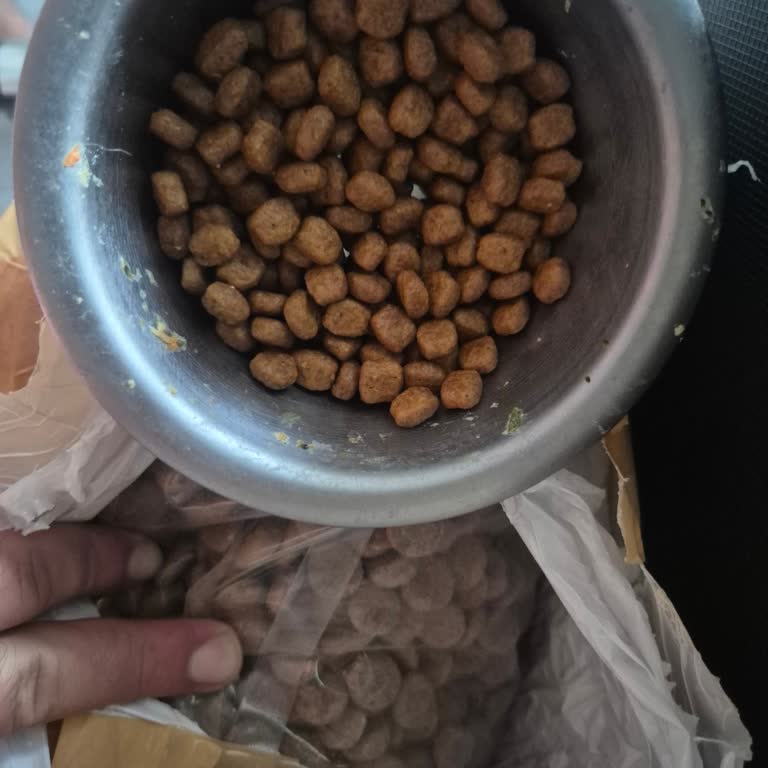 Royal Canin Poodle Maması Yerine Büyük Boyutlu Mamalar Gelen Ürün: İade Ve Geri Ödeme Talebi