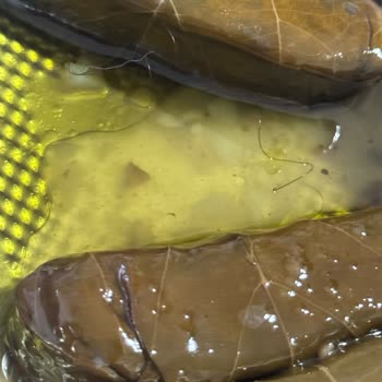 Dardanel Yaprak Sarma Konservesinde Kıl Görülmesi Sağlık Korkusu Ve Marka Güvenine Darbe