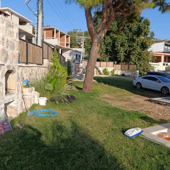 Tamamlanmamış Villa Ve Karınca Sorunu Nedeniyle Fahiş Ücret Ve Çözüm Yok