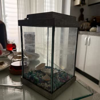 Ovacık Petshop Gross Hem Maddi Hem De Manevi Olarak Mağduriyet Yaşama
