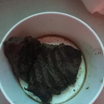 Çorum Şubesinde Antrikot Eksik Ve Yanmış, Salata Yarım Ve Sos Yok