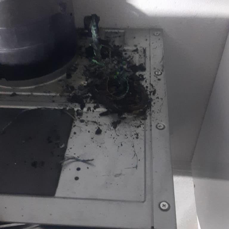 Garanti Kapsamındaki Davlumbaz Kendiliğinden Yandı Ve Servis Yardımcı Olmadı