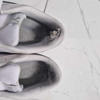 Puma Ayakkabısında Üretim Kusuru Ve Amazon’da Destek Sorunu